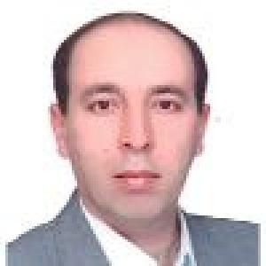 حمید بیگی
