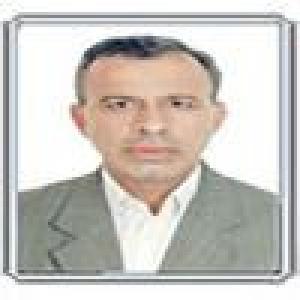 مجتبی ثقفی نیا