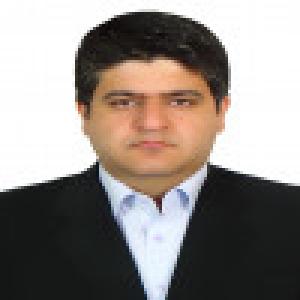 شاهین خامنه اصل