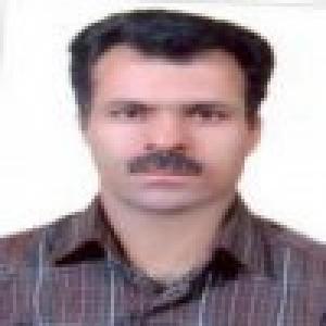 محمود بهبودی