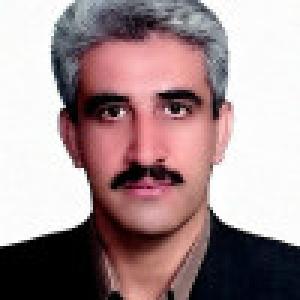 حسن علی ویس کرمی