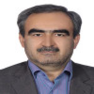 حسین میلادی گرجی